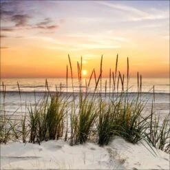 Leinwandbild Lonely Dune 50 Cm X 50 Cm