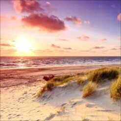 Leinwandbild Sea Harmony 50 Cm X 50 Cm