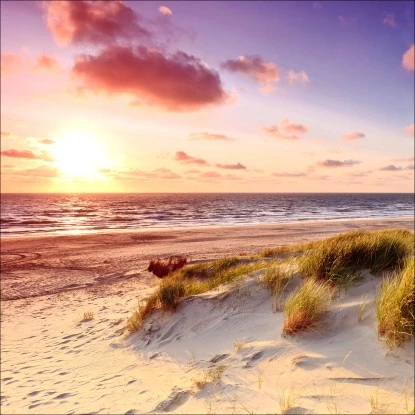 Leinwandbild Sea Harmony 50 Cm X 50 Cm