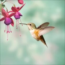 Glas-Art Little Friends II 20 Cm X 20 Cm