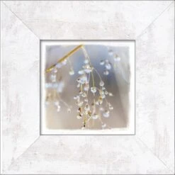 Bild Mit Rahmen Wheat I 34 Cm X 34 Cm