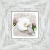 Bild Mit Rahmen White Spring IV 34 Cm X 34 Cm