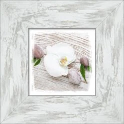 Bild Mit Rahmen White Spring IV 34 Cm X 34 Cm