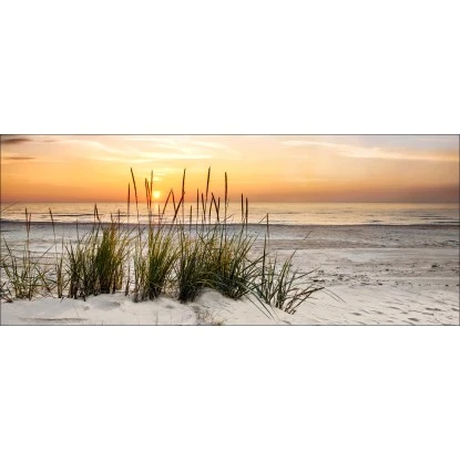 Dekopanel Mit Motiv 50 Cm X 125 Cm Lonely Dune