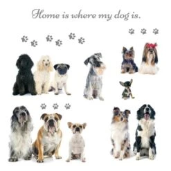 Eurographics Deco Sticker Home Is Where My Dog Is 50 Cm X 70 Cm