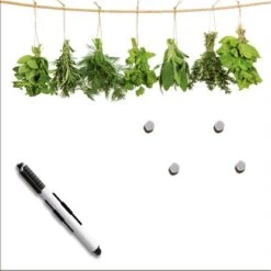 Eurographics Memoboard Hanging Herbs 30 Cm X 30 Cm