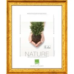 OBI Holz-Wechselrahmen Gold 30 Cm X 30 Cm FSC®