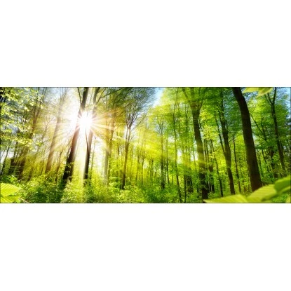 Pro-Art Glasbild Towards The Sun 30 Cm X 80 Cm X 1,5 Cm