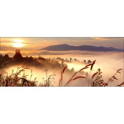 Pro-Art Glasbild Orange Field 50 Cm X 125 Cm X 1,4 Cm