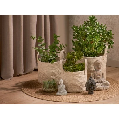 Kunstpflanze Bonsai Im Glas Minimalist Zen 13,5 Cm X Ø 16 Cm – Bild 3