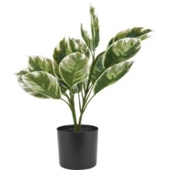 Kunstpflanze Dark Wonder 41 Cm X 35,56 Cm X 35,56 Cm