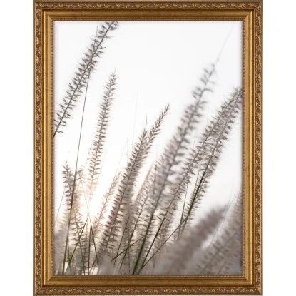 Holzbilderrahmen Gold Verschnörkelt 30 Cm X 40 Cm