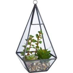 Kunstpflanze Sukkulente Glam Forest 25 Cm X 12 Cm X 12 Cm