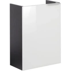 Fackelmann Waschbeckenunterschrank SBC 45 Cm Anthrazit/l. Glas Weiß Links