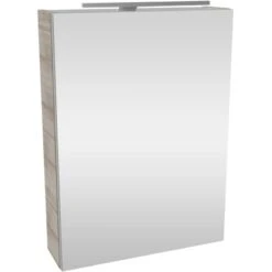 Fackelmann Spiegelschrank SBC 50 Cm Graueiche Rechts