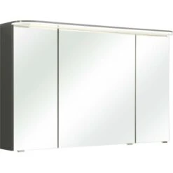 Pelipal Spiegelschrank Quantum 05 Anthrazit Seidenglanz 120 Cm