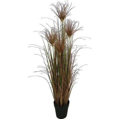 Topfpflanze Herta 60 Cm X 25 Cm X 60 Cm