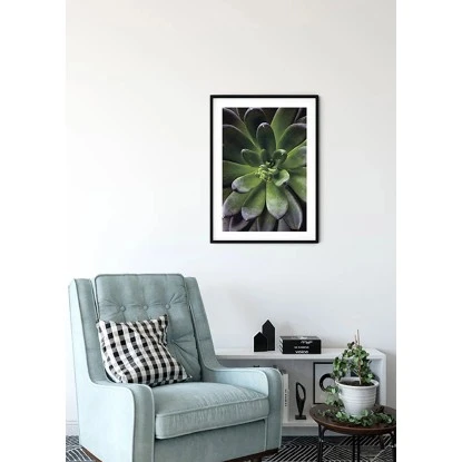 Komar Wandbild Succulent Single 30 X 40 Cm – Bild 2
