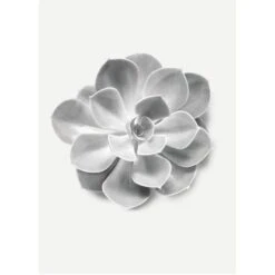 Komar Wandbild Succulent Aeonium 30 X 40 Cm