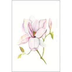 Komar Wandbild Magnolia Shine 30 X 40 Cm