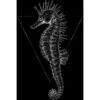 Komar Wandbild Sea Horse Black 30 X 40 Cm