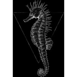 Komar Wandbild Sea Horse Black 30 X 40 Cm