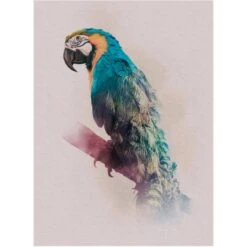 Komar Wandbild Animals Parrot 30 X 40 Cm