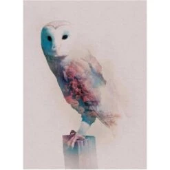 Komar Wandbild Animals Forest Owl 30 X 40 Cm