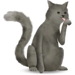 Komar Wandbild Cute Cat 30 X 40 Cm