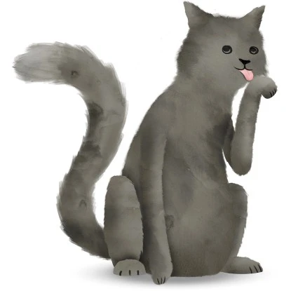 Komar Wandbild Cute Cat 30 X 40 Cm