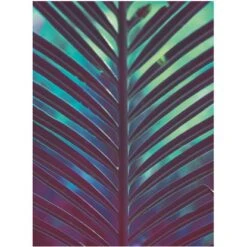 Komar Wandbild Hide 30 X 40 Cm