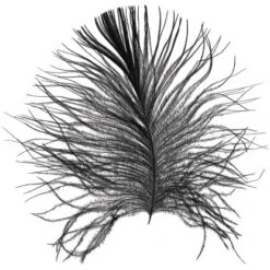 Komar Wandbild Feather White 40 X 50 Cm