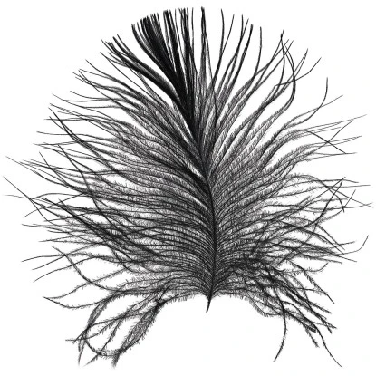 Komar Wandbild Feather White 40 X 50 Cm