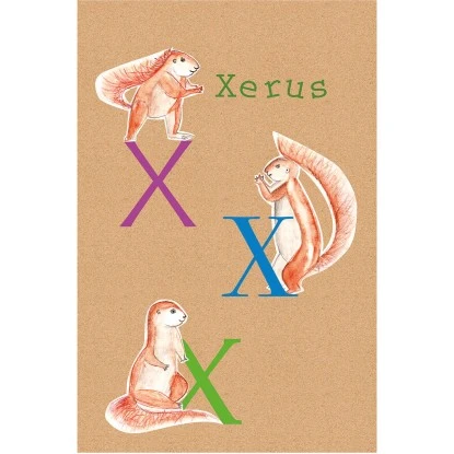 Komar Wandbild ABC Animal X 30 X 40 Cm