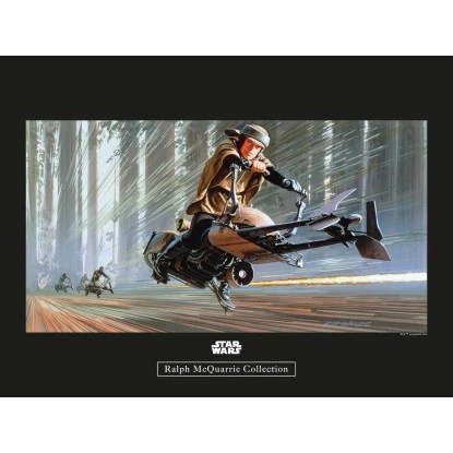 Komar Wandbild Star Wars Speeder 40 X 30 Cm