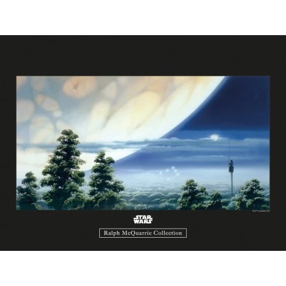 Komar Wandbild Star Wars Lookout 40 X 30 Cm