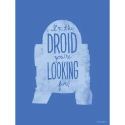 Komar Wandbild Star Wars R2D2 30 X 40 Cm Gerollt