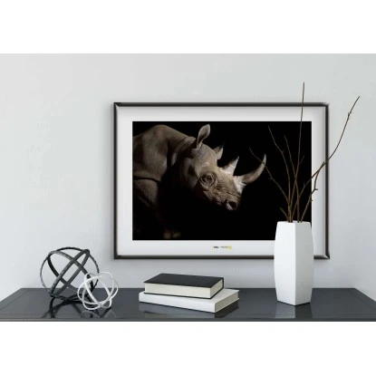 Komar Wandbild Black Rhinoceros 40 X 30 Cm – Bild 2