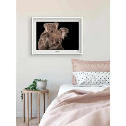 Komar Wandbild Koala Bear 40 X 30 Cm Gerollt – Bild 2