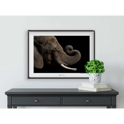 Komar Wandbild African Elephant 40 X 30 Cm Gerollt – Bild 2