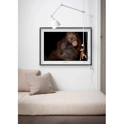 Komar Wandbild Bornean Orangutan 40 X 30 Cm – Bild 2
