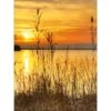 Leinwandbild Golden Lake 57 Cm X 77 Cm