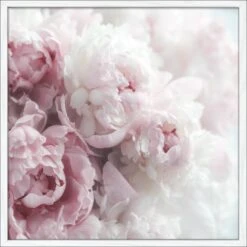 Bild Mit Rahmen Anonymus Pfingstrosen 52,5 Cm X 52,5 Cm