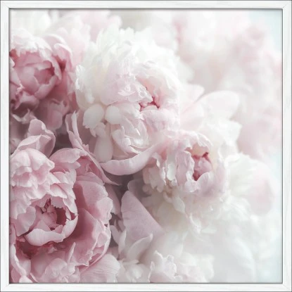 Bild Mit Rahmen Anonymus Pfingstrosen 52,5 Cm X 52,5 Cm