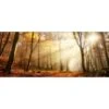 Deco Panel Anonymus Mystic Forest III 117 Cm X 49 Cm