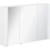 Fackelmann Spiegelschrank Scera 100 Cm X 68 Cm X 17 Cm Weiß EEK: A+