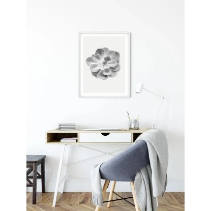 Komar Wandbild Succulent Aeonium 30 Cm X 40 Cm – Bild 2