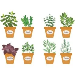 Euroart Wandsticker Kräuter III 25 Cm X 35 Cm