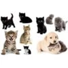 Euroart Wandsticker Süße Tiere 25 Cm X 35 Cm