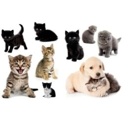 Euroart Wandsticker Süße Tiere 25 Cm X 35 Cm